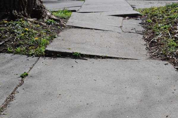 Trip Hazard Removal in Alexandria